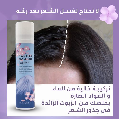 Dry shampoo spray AR 3